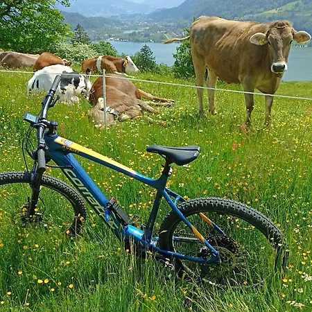 Loewenzahn, Oberstaufen/wiedemannsdorf Appartamento
